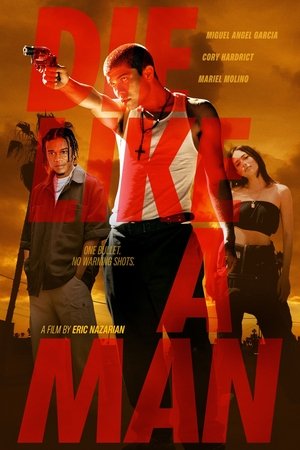 Die Like a Man (2025) Hindi (MULTI AUDIO) – – 1080p