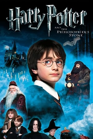 Harry Potter and the Sorcerer's Stone 2001 Hindi Dual Audio