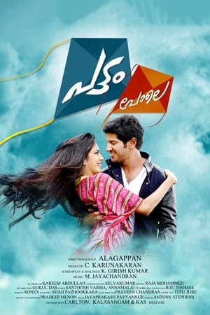 Pattam Pole (2013) (Hindi – Malayalam) Dual Audio [1.2GB]