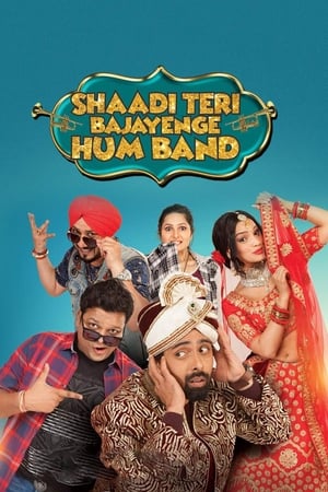 Shaadi Teri Bajayenge Hum Band (2018) Movie – [350MB]