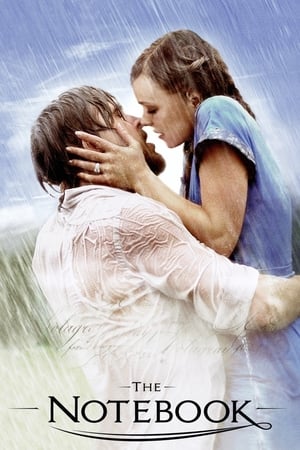 The Notebook 2004 Dual Audio Hindi [200MB]